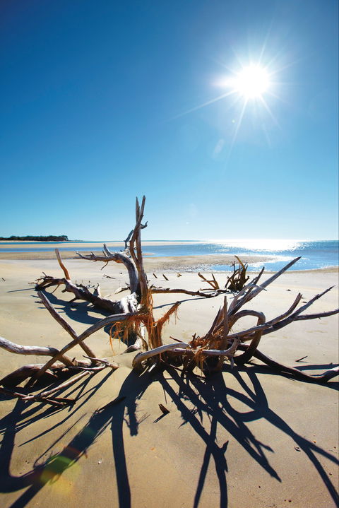 Woodgate Beach Park And Playground - Hobart Tourism 1