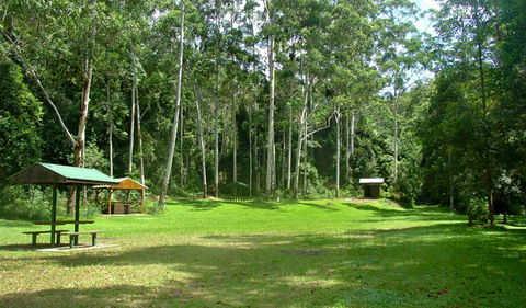 Woolgoolga Creek Picnic Area - Tourism TAS 0