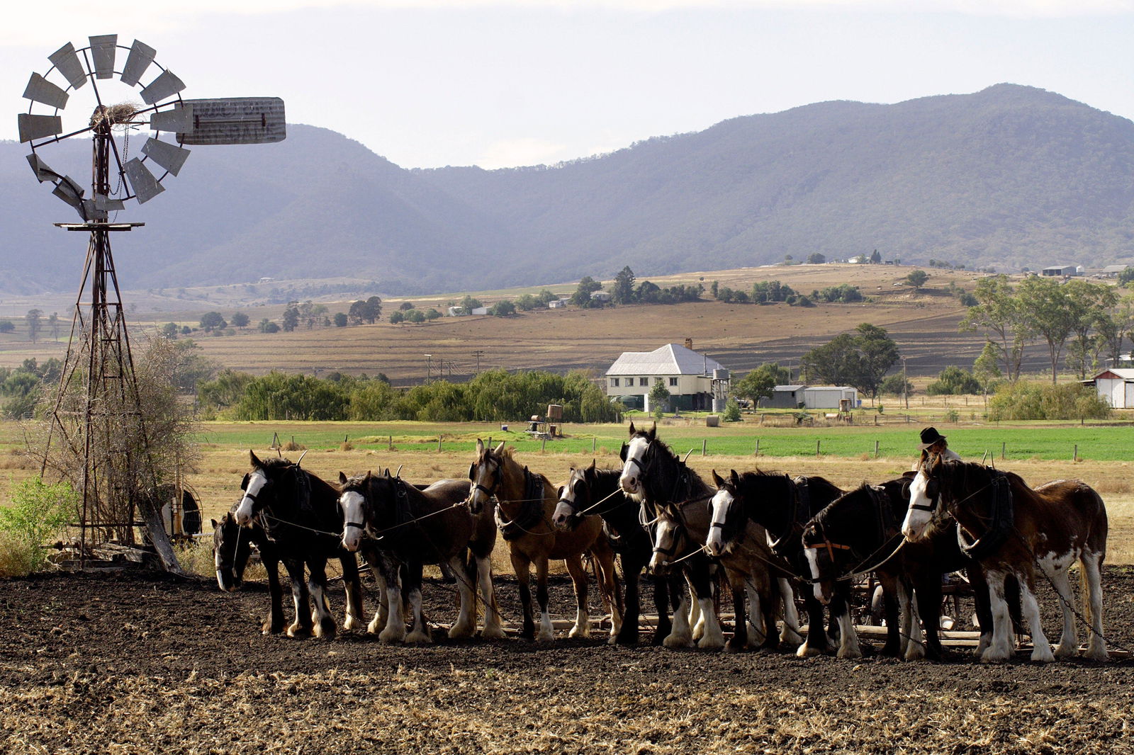 Emu Vale QLD Tourism TAS