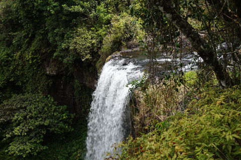 Zillie Falls - Tourism TAS 0