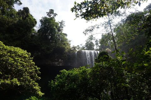 Zillie Falls - Tourism TAS 1