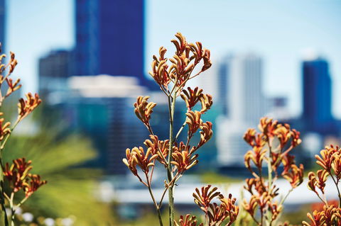 A Day In Perth - Tourism TAS 1