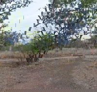 Alexander Forest Memorial - Tourism TAS