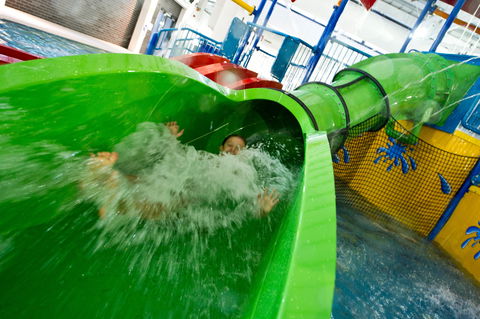 AquaPulse - Tourism TAS 0