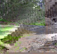 Bangadilly National Park - Hobart Tourism