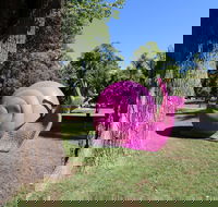 Belmore Park - Hobart Tourism