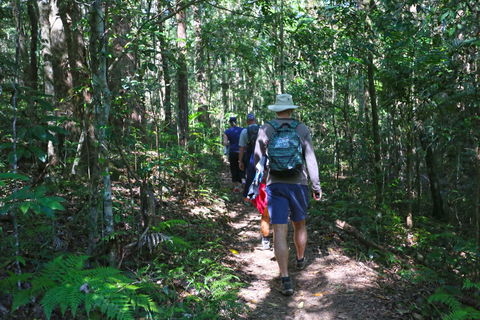 Booloumba Falls Walk, Conondale National Park - Tourism TAS 1