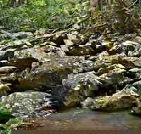 Booyong Walking Track - Hobart Tourism