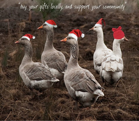 Bream Creek Farmers Market - Tourism TAS 1