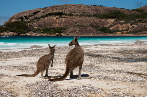 Cape Le Grand National Park - Tourism TAS 0