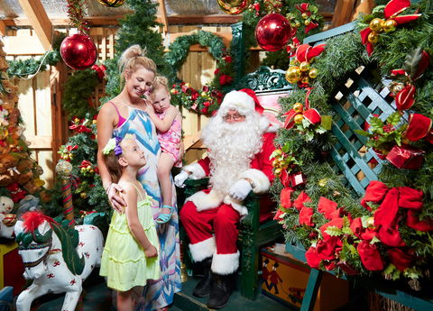 Christmas Tree Farm - Tourism TAS 2
