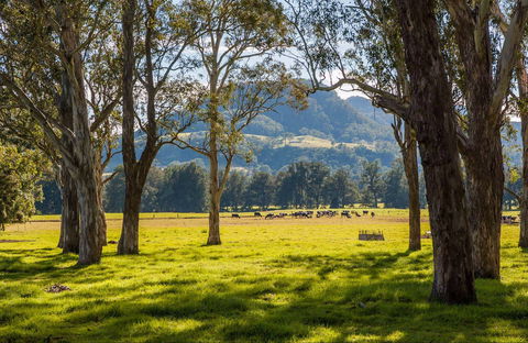 Coast To The Highlands Scenic Drive – Kangaroo Valley - Hobart Tourism 0