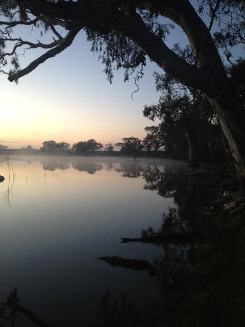 Cockatoo Lake Recreation Reserve - Tourism TAS 0