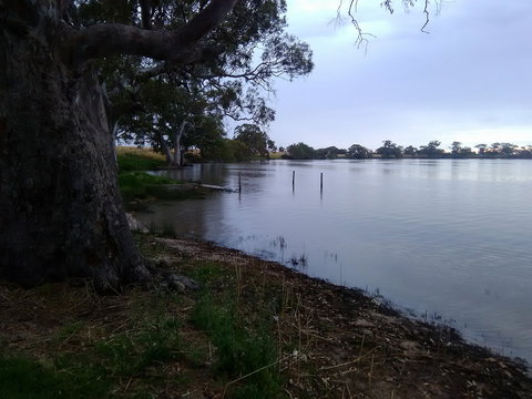 Cockatoo Lake Recreation Reserve - Tourism TAS 1