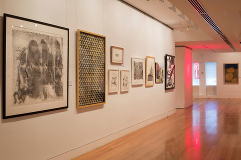 Coffs Harbour Regional Gallery - Hobart Tourism 1