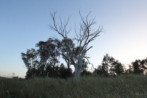 Cooleman Ridge - Hobart Tourism 1