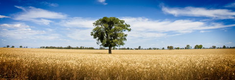 Coonamble - Hobart Tourism 1