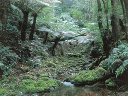 Book Anna Bay NSW Attractions Tourism TAS Tourism TAS