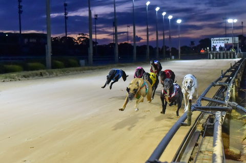 Cranbourne Greyhound Racing Club - Tourism TAS 1