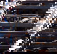 Dalby - Hobart Tourism