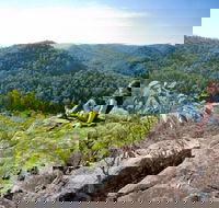 Dubbo Gully Loop Trail - Tourism TAS