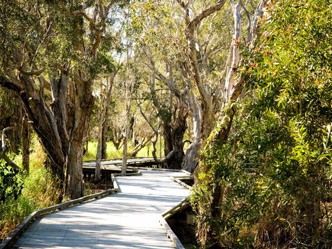 Eagleby Wetlands - Tourism TAS 1