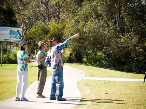 Eagleby Wetlands - Tourism TAS 2