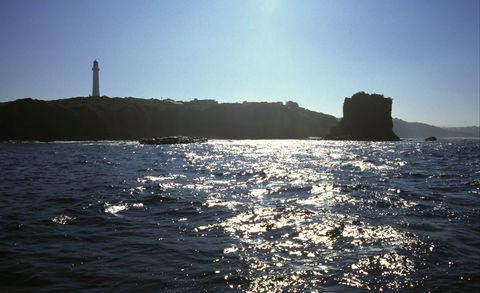 Eagle Rock Marine Sanctuary - Tourism TAS 2