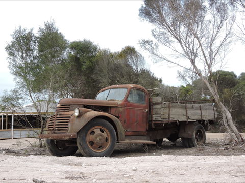 Emu Ridge Eucalyptus Pty Ltd - Tourism TAS 2