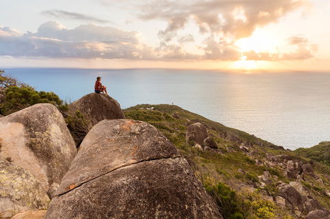 Fitzroy Island National Park - Hobart Tourism 1