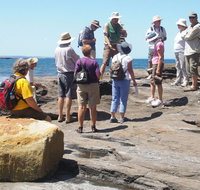 Gondwana Coast Fossil Walk - Tourism TAS