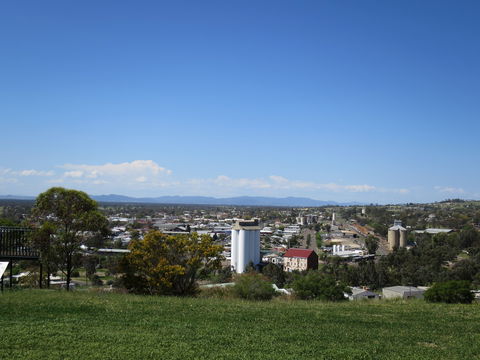 Heritage Sculptures At Pensioners Hill Lookout - Tourism TAS 2