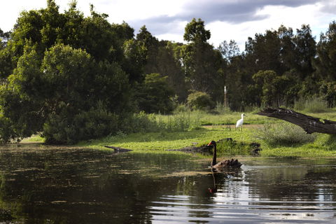 Hunter Wetlands Centre - Tourism TAS 0