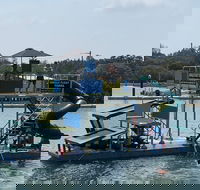 Jungle Float - Hobart Tourism