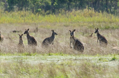 Kosciuszko National Park - Tourism TAS 2