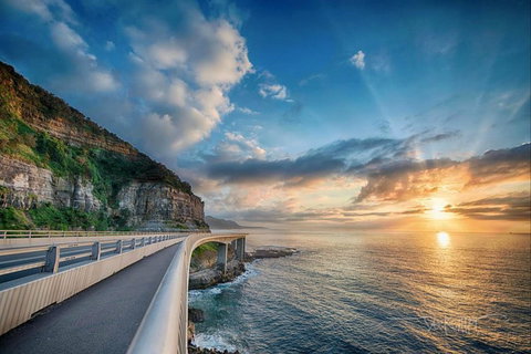 Kramer Photography Rainforest Gallery - Hobart Tourism 0