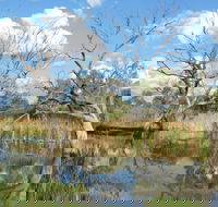 Lagoon Creek - Hobart Tourism