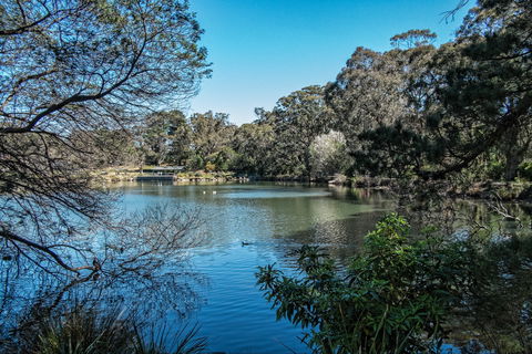 Lake Alexandra Reserve - Hobart Tourism 1