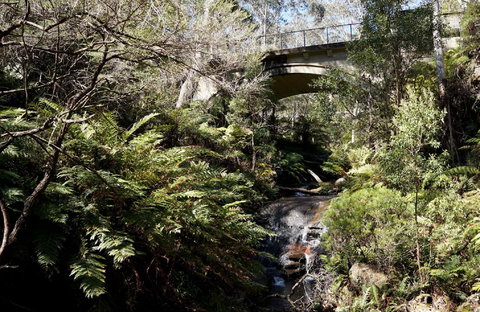 Leura Cascades - Hobart Tourism 2