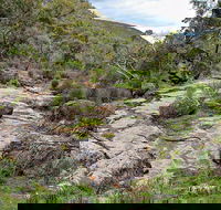 Lynchs Loop Trail - Tourism TAS