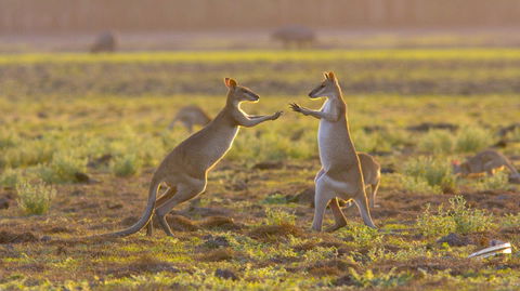 Mary River Area - Hobart Tourism 1