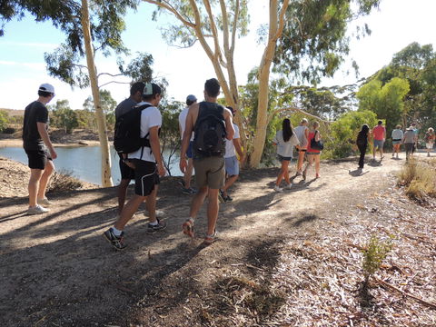 Merredin Railway Dam - Tourism TAS 1