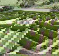Mintaro Maze - Tourism TAS