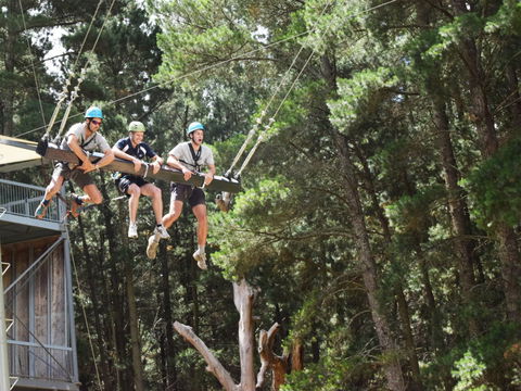 Mount Lofty Adventure Hub - Tourism TAS 1