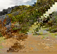 Mountain Biking Trails - Hobart Tourism