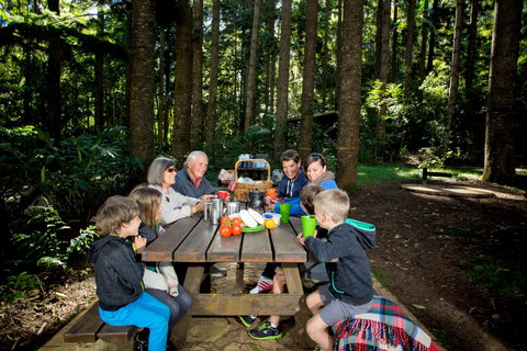 Mount Yarrahapinni Lookout - Tourism TAS 1