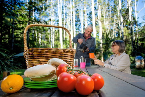 Mount Yarrahapinni Lookout - Tourism TAS 2