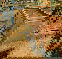 Mountain Maid gold mine - Tourism TAS