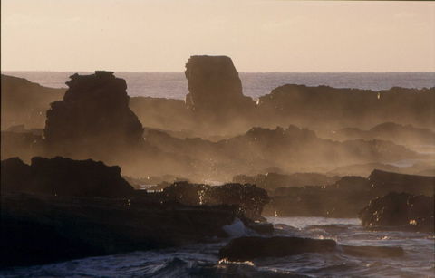 Mystery Bay Short Walk - Tourism TAS 1