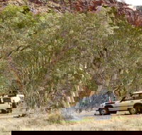 Owen Springs Reserve - Hobart Tourism